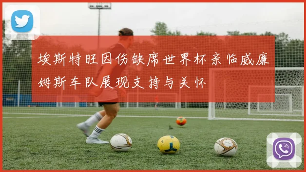 埃斯特旺因伤缺席世界杯亲临威廉姆斯车队展现支持与关怀